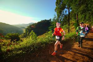 BIB: 
                            <button type="button" onclick="openModal(19169866)" class="btn btn-primary btn-sm float-right btn-popup" data-toggle="modal" data-target=".modal-high-quality">
                        <i class="fas fa-shopping-cart"></i> Add to Cart
                    </button>
                                            <button type="button" onclick="isThisMe(19169866, true)" class="btn btn-success btn-sm float-right btn-popup btn-isme hidden" data-toggle="tooltip" data-placement="bottom" title="นี่คือรูปของคุณใช่ไหม คลิกที่นี่เพื่อเอาเข้าอัลบั้ม">
                        <i class="fas fa-plus"></i> Add to album
                    </button>
                    <button type="button" onclick="isThisMe(19169866, false)" class="btn btn-warning btn-sm float-right btn-popup btn-isnotme hidden">
                        <i class="fas fa-ban"></i> Remove from album
                    </button>